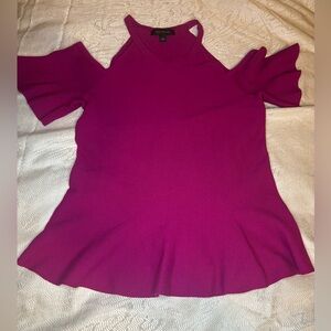 Ann Taylor Fuchsia Knit Top